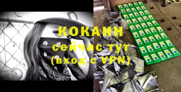 молекула духа Волоколамск