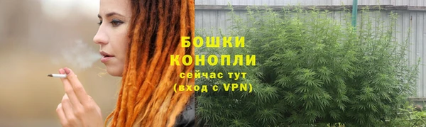 гашик Вязьма