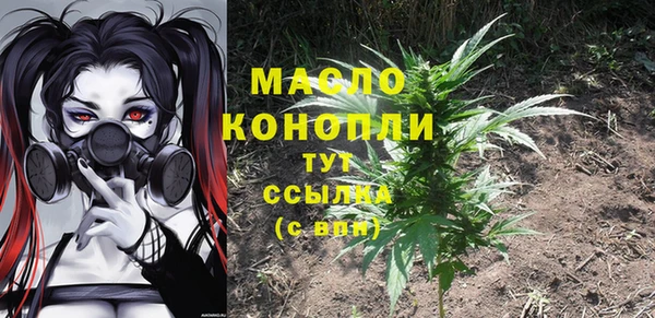 гашик Вязьма