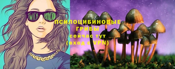 мдпв Вязники