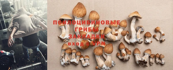 мяу мяу кристалл Вяземский