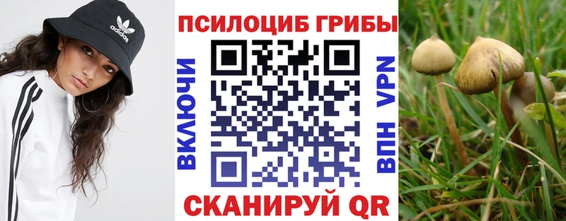 где найти наркотики  Назрань  Галлюциногенные грибы ЛСД 