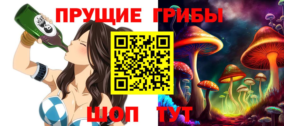 купить наркотик  Вход с VPN  Галлюциногенные грибы GOLDEN TEACHER  Назрань  Псилоцибиновые грибы ЛСД 